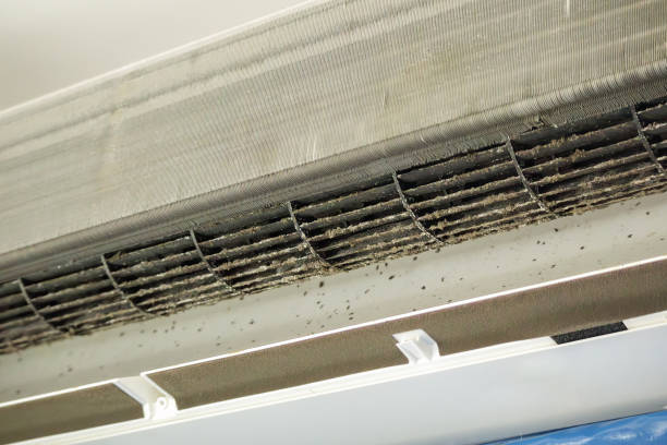 Best Air Duct Cleaning Near Me  in Onalaska, TX
